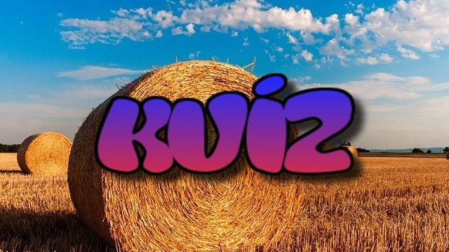 kvíz