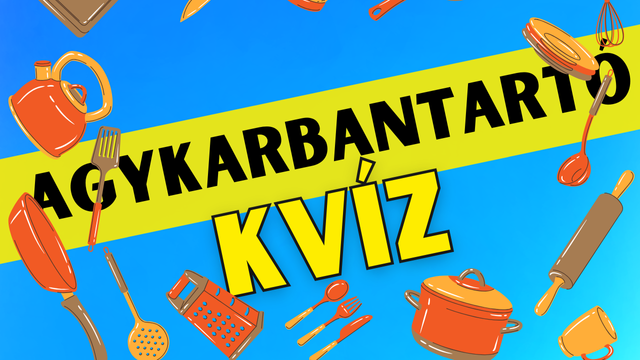 agykarbantartó konyhás 2