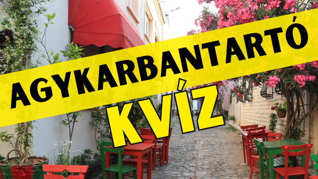 agykarbantartó utcás-székes