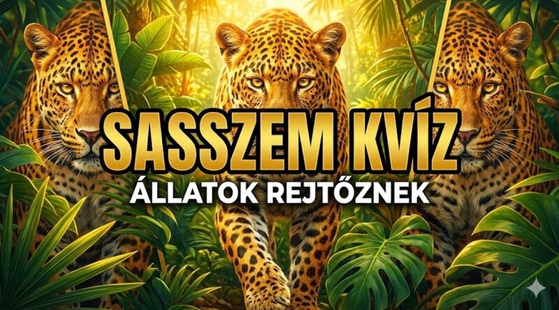 sasszem kvíz