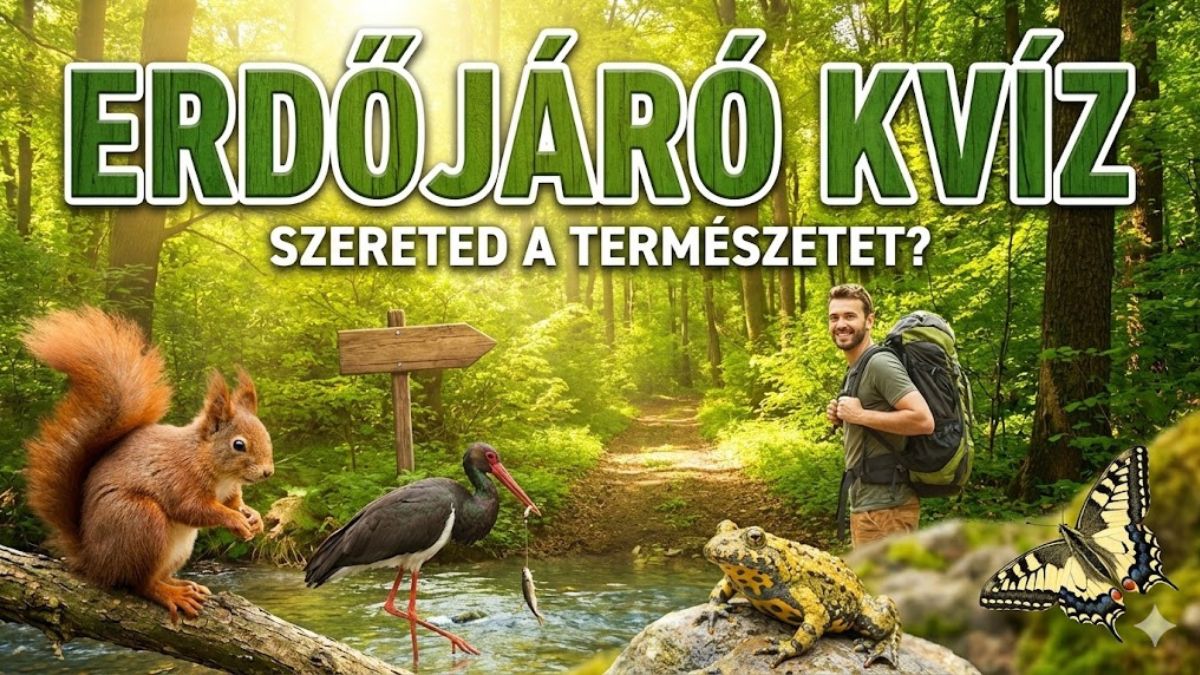 erdőjáró kvíz