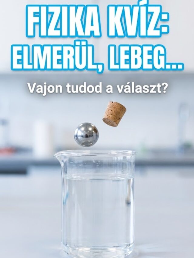 Fizika kvíz: Elmerül vagy lebeg?