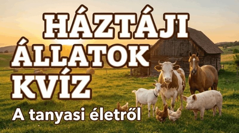 háztáji állatok kvíz