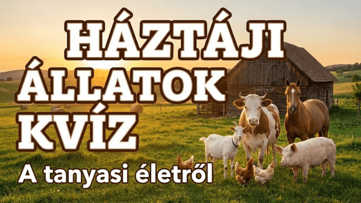 háztáji állatok kvíz