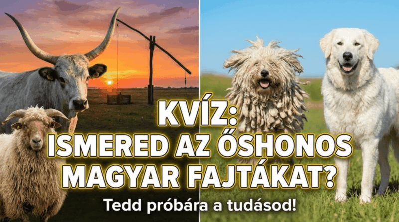 ismeretterjesztő kvíz