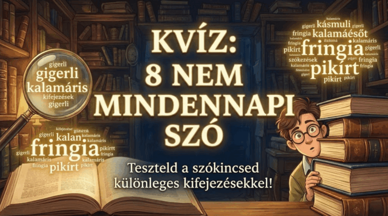 szókincs kvíz