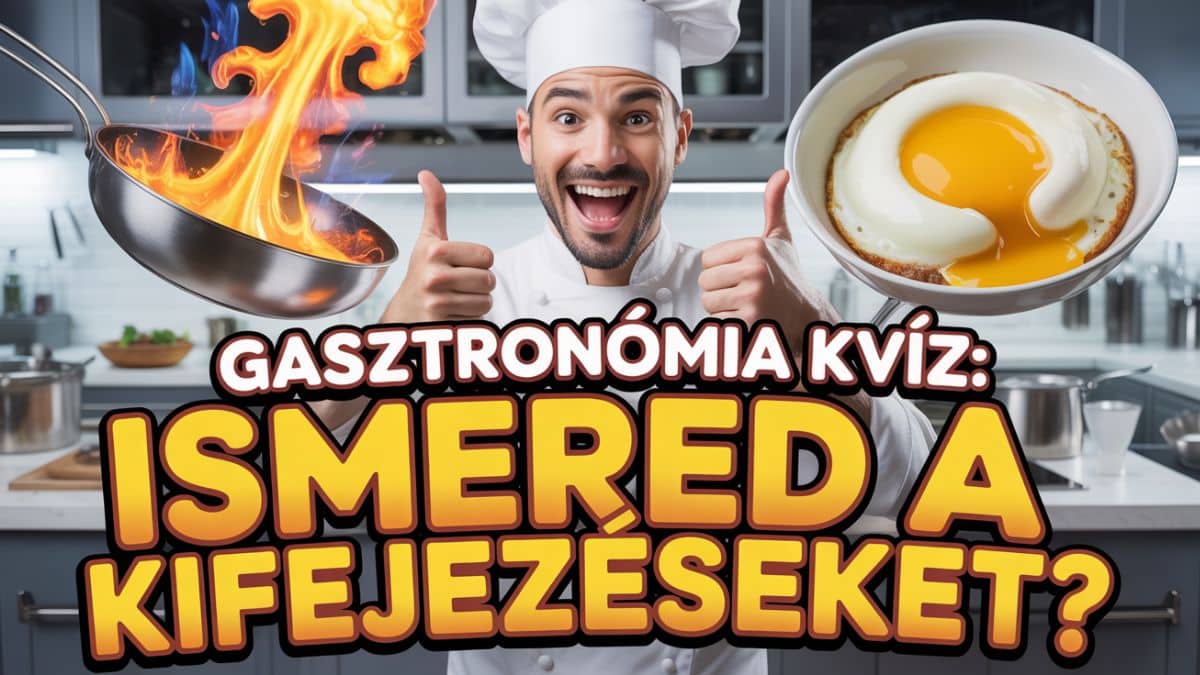 gasztronómia kvíz