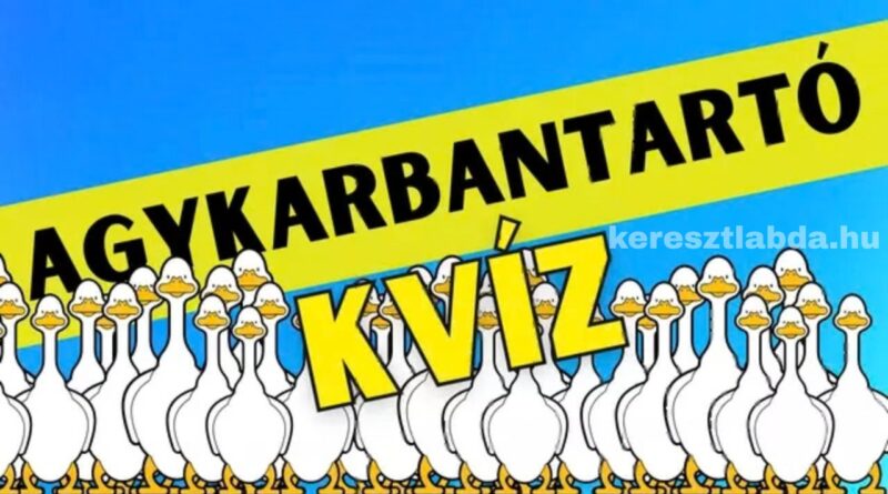 agykarbantartó feladat