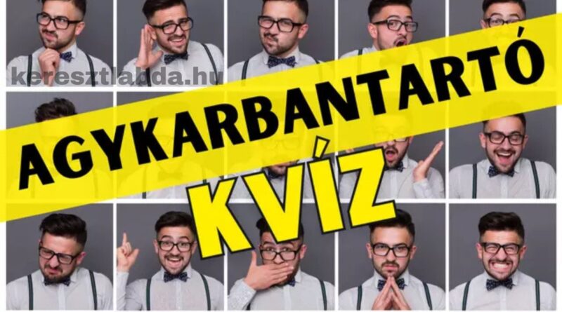 agykarbantartó feladat