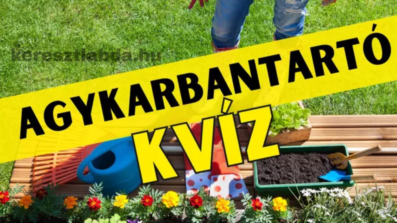 agykarbantartó feladat