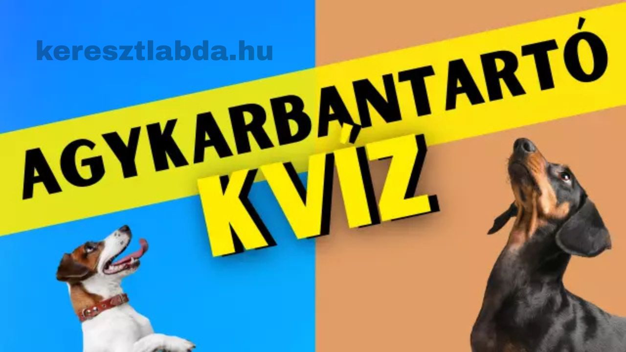 agykarbantartó feladat