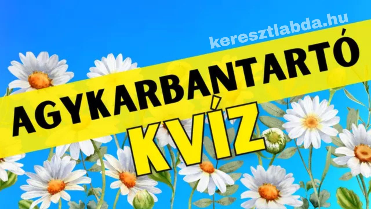 agykarbantartó feladat