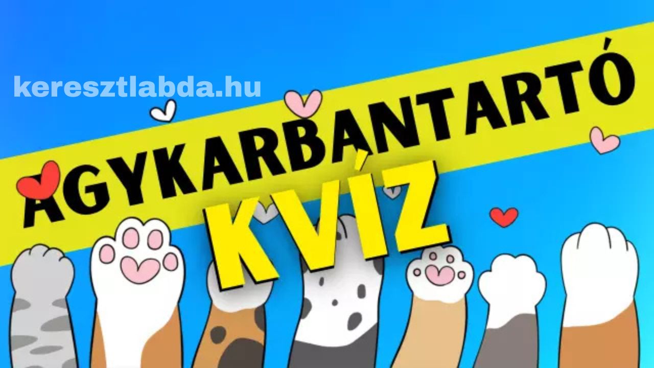 napi agykarbantartó feladat