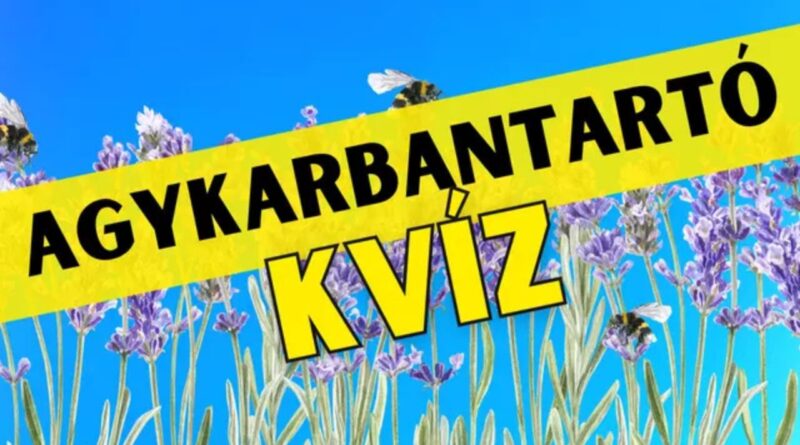 napi agykarbantartó feladat