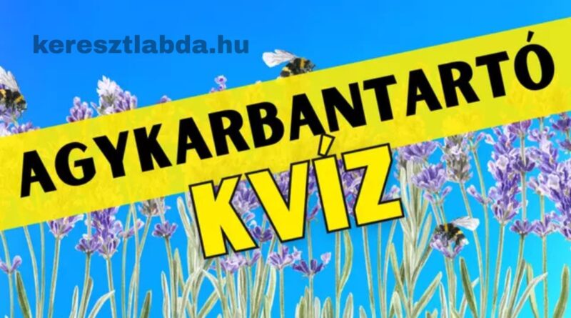 agykarbantartó feladat