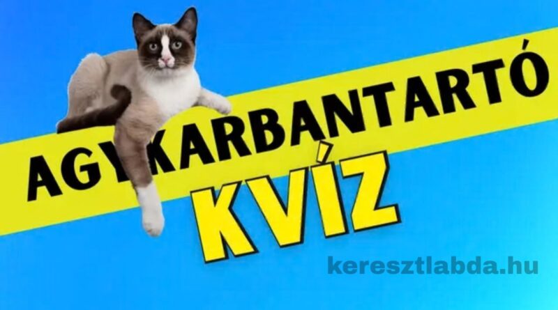 agykarbantartó