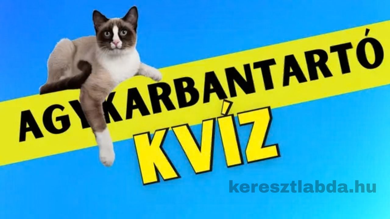 agykarbantartó
