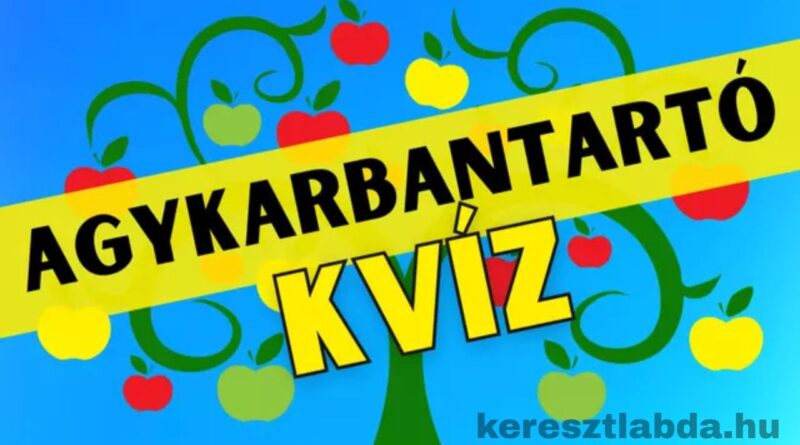 agykarbantartó feladat