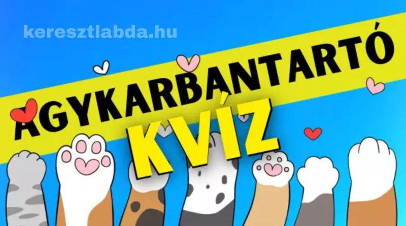 agykarbantartó feladat