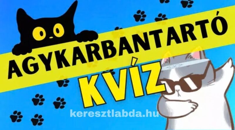 agykarbantartó feladat