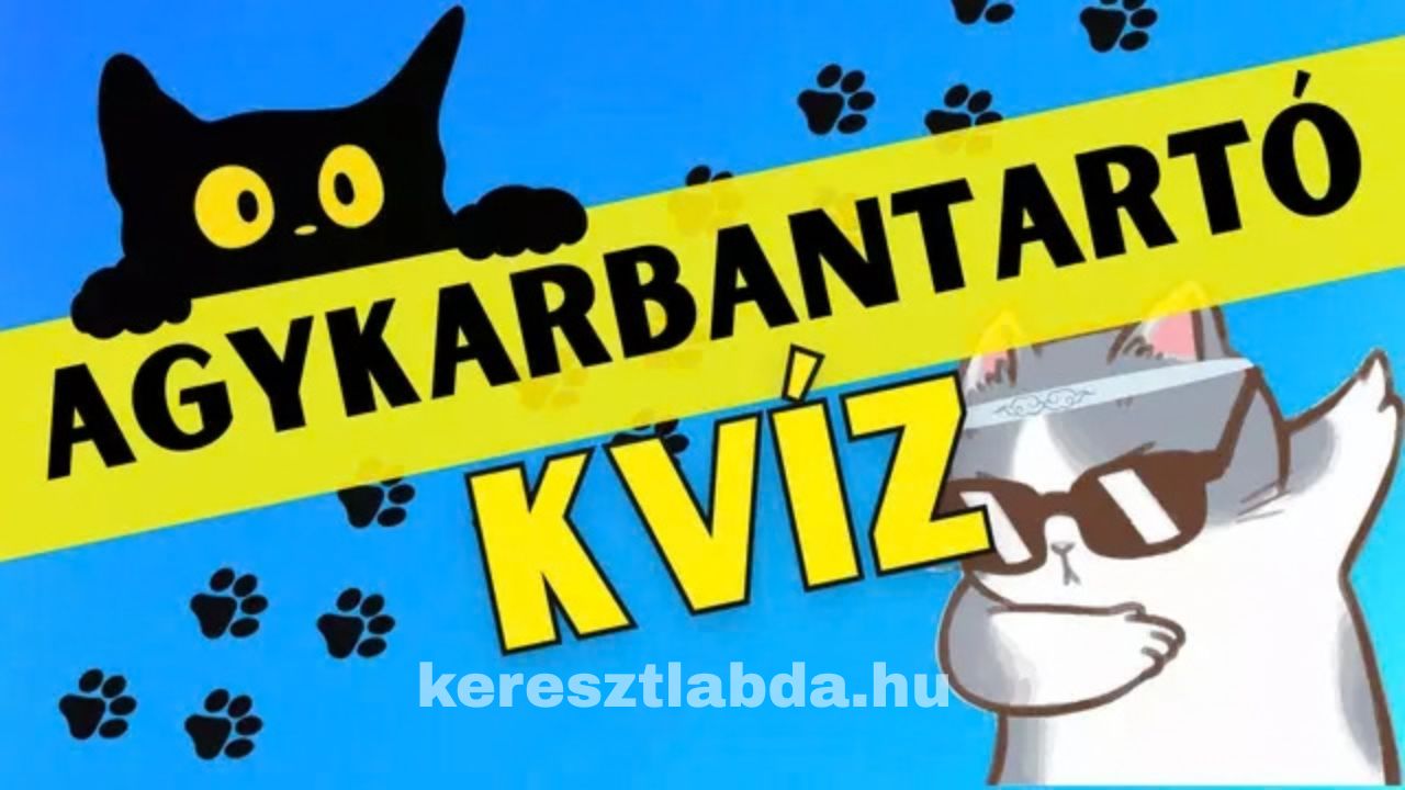 agykarbantartó feladat