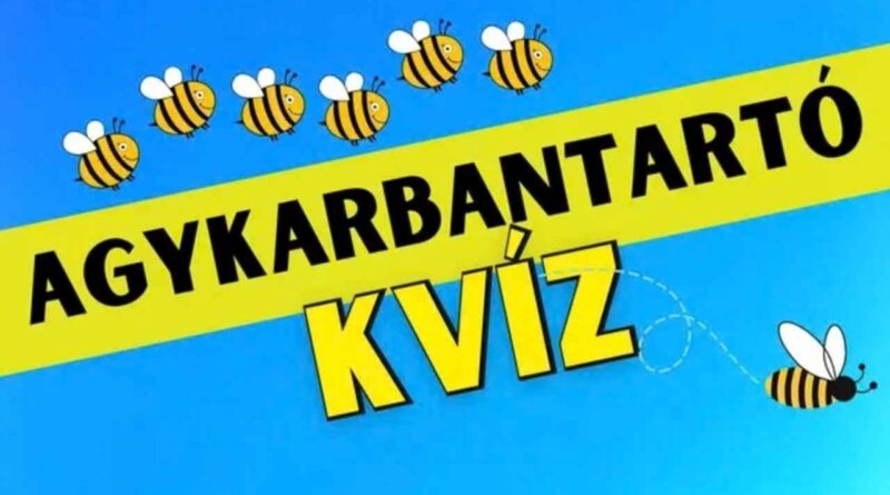 agykarbantartó feladat