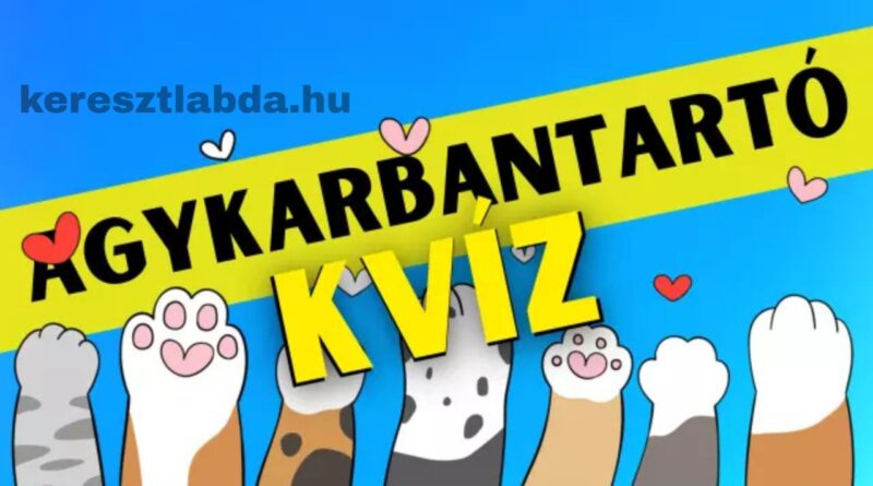 agykarbantartó feladat