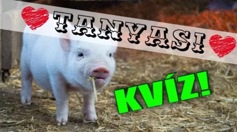 tanyasi háztáji állatok kvíz