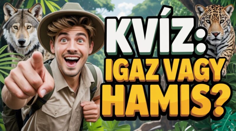 igaz vagy hamis kvíz