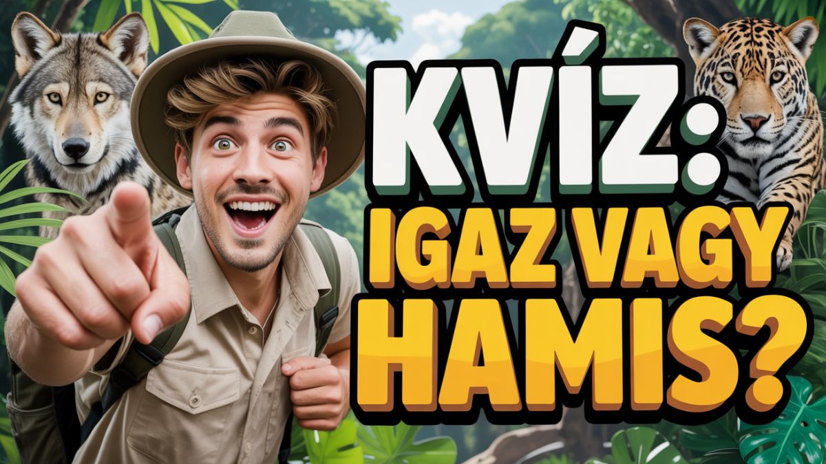 igaz vagy hamis kvíz