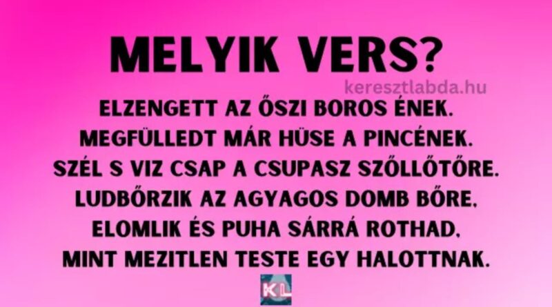 irodalom vers feladat
