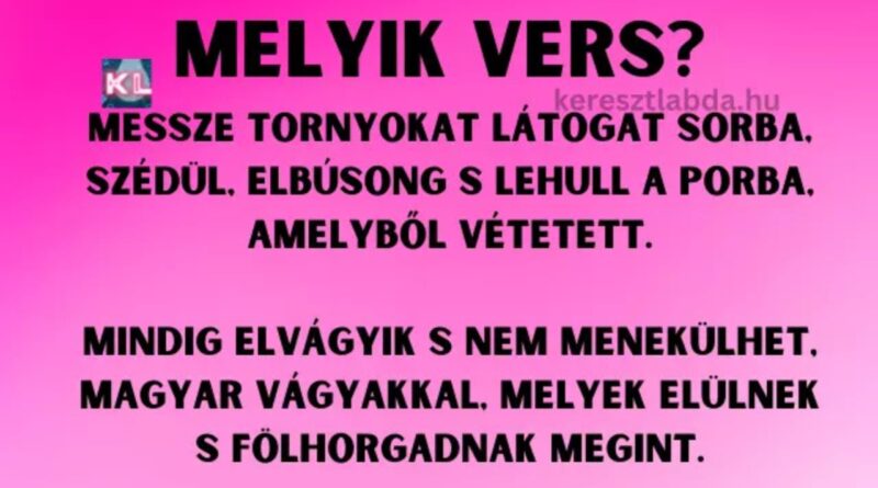 napi irodalom feladat