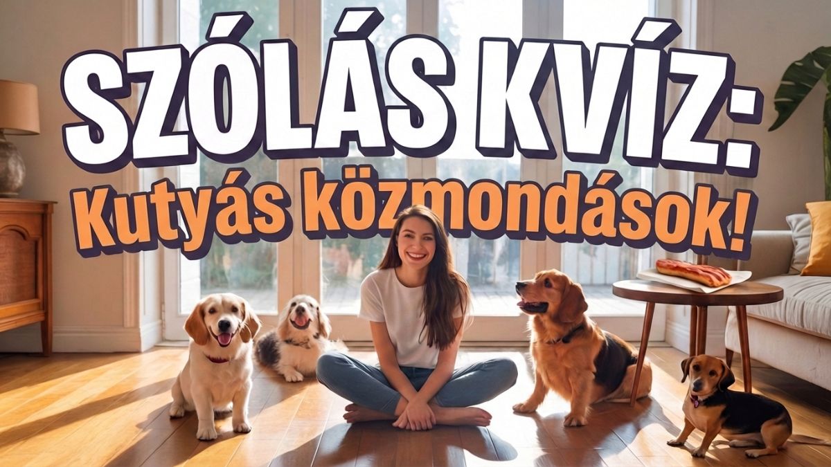 szólások ék közmondások kvíz