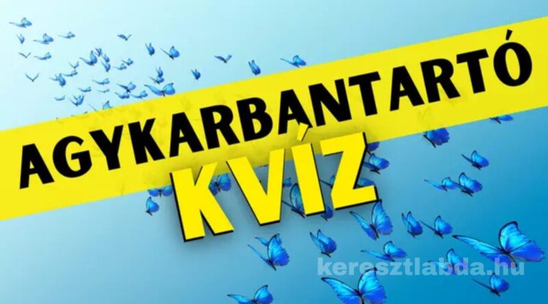 agykarbantartó feladat