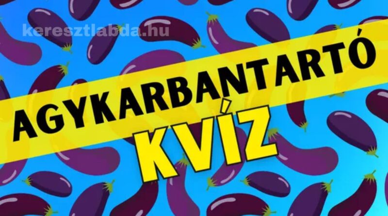 agykarbantartó feladat