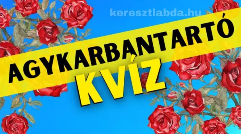 agykarbantartó feladat