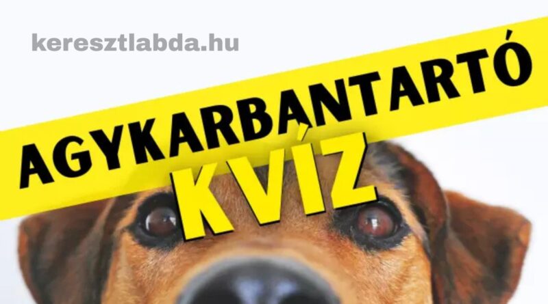 agykarbantartó feladat