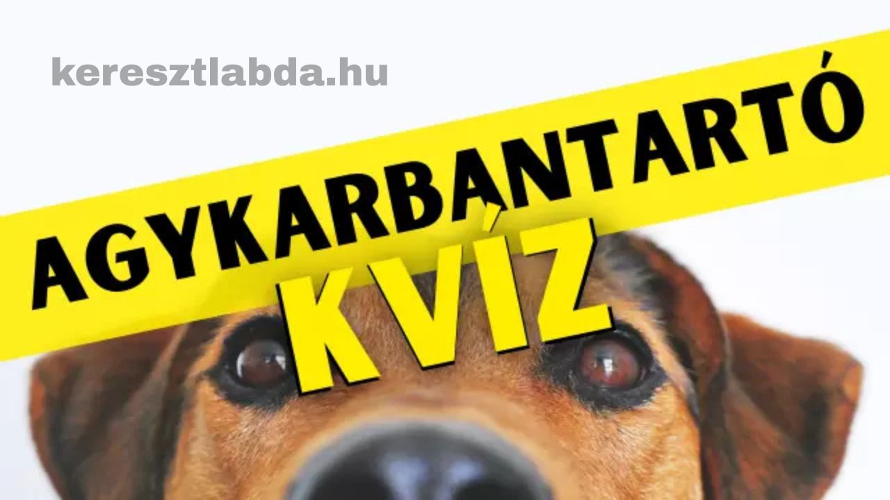 agykarbantartó feladat