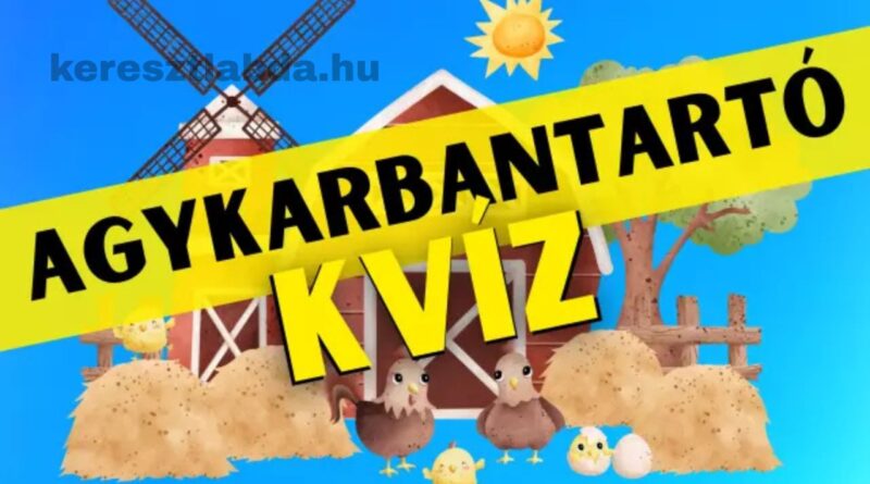 agykarbantartó feladat