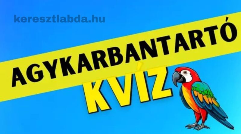 napi agykarbantartó feladat