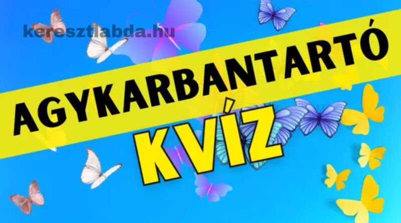 napi agykarbantartó feladat