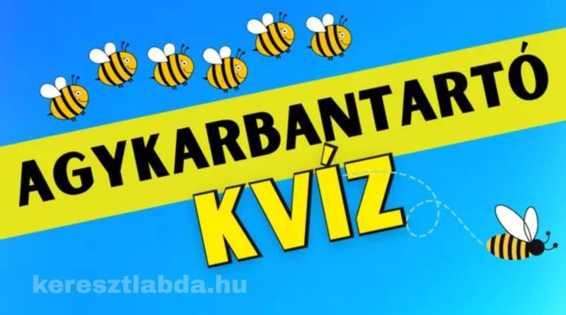 agykarbantartó feladat