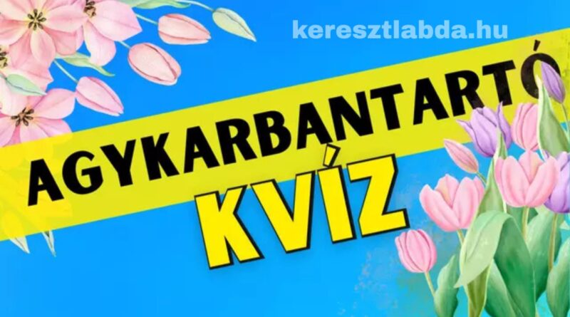 agykarbantartó feladat