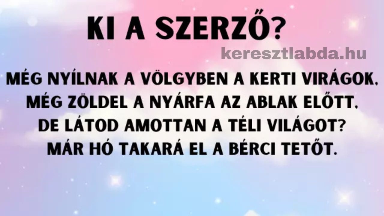 napi irodalom feladat