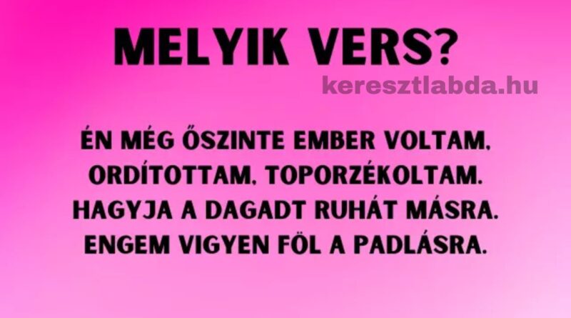 napi irodalom feladat