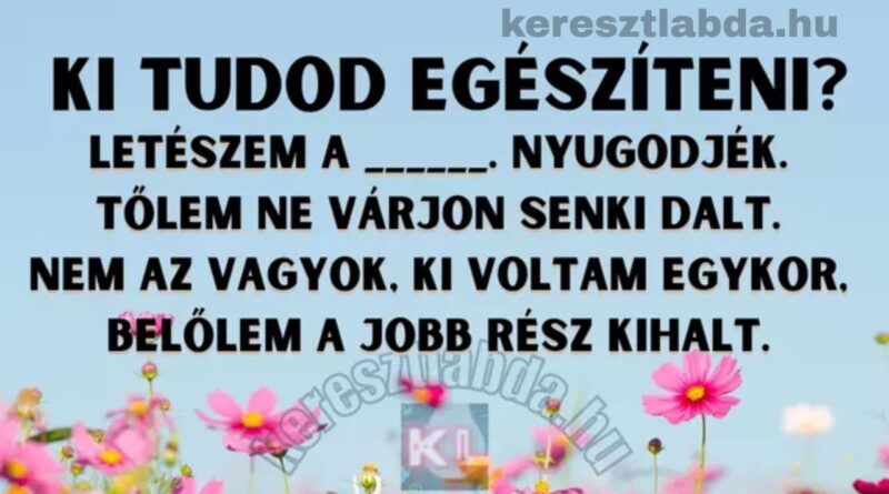 napi irodalom feladat