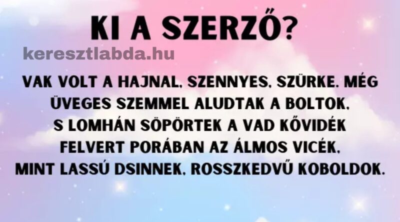 napi irodalom feladat