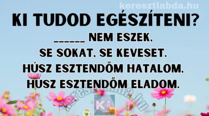 napi irodalom feladat