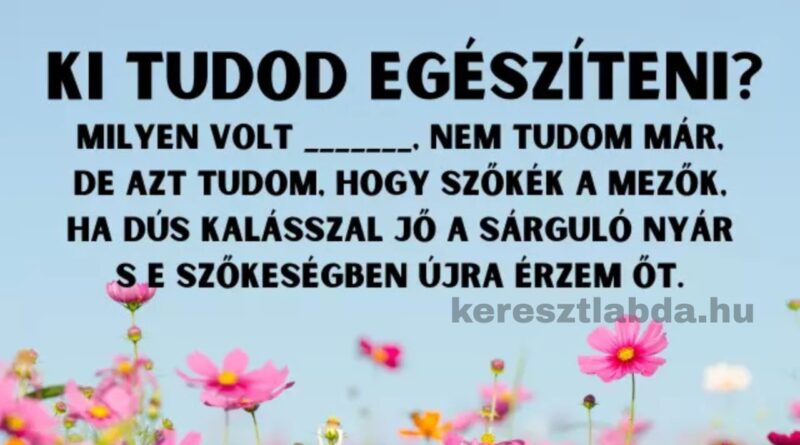 irodalom feladat