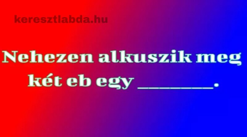 napi közmondás feladat